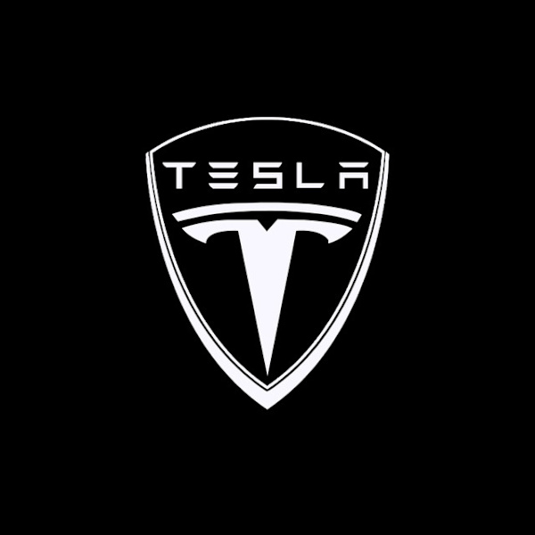 2 stk. Velkommenlys egnet for Tesla, dedikert TESLA MODEL3 A