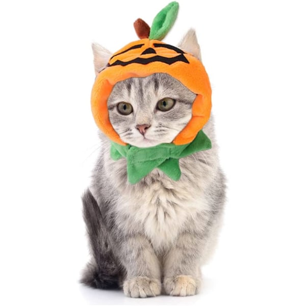 Halloween kattekostyme, kattegresskarlue Cosplay-kostymehatt til s