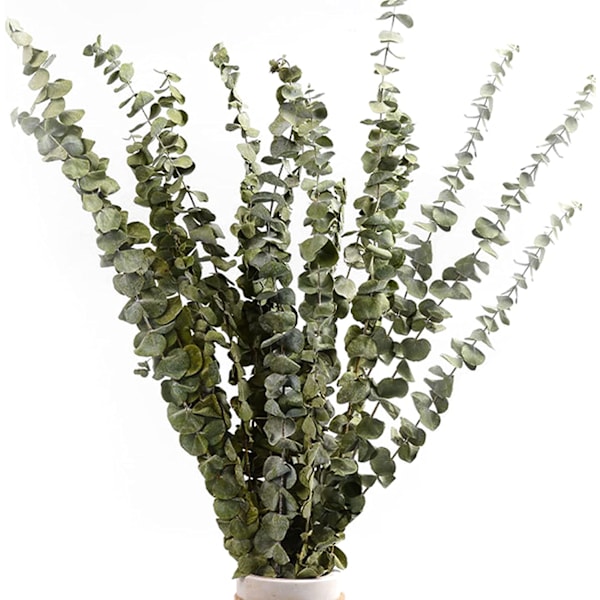 12-14 Pack Naturliga Torkade Eukalyptus, 40-60cm Naturliga Torkade Blommor
