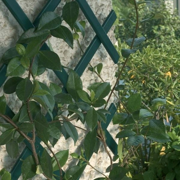 PVC-plast trädgård Infällbart staket Spaljé Klätterväxtvägg