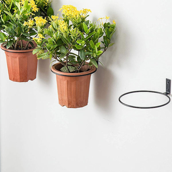 6 stk. vægmonteret blomsterkrukkeholder 10 cm metal blomsterkrukke ring med skruer planteophæng til