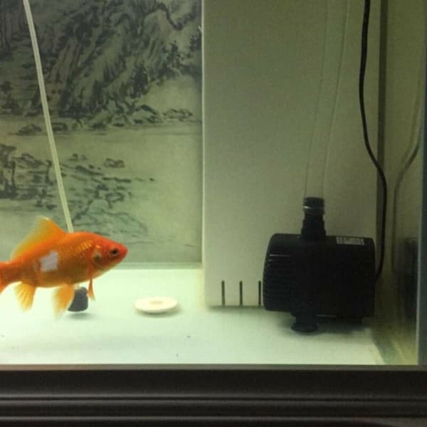 (180L/H) Mini USB DC nedsænkelig springvandspumpe til akvarium, Hydr