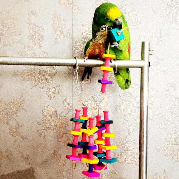 Papukaijatarvikkeet Molaarinen puinen lintu lelu tarvikkeet