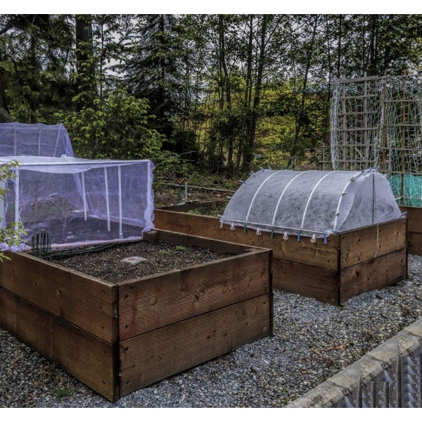 Havebeskyttelse mod insekter: 3 x 3,6 m fint net til porrer, frugttræer, haveplanter, hvidt