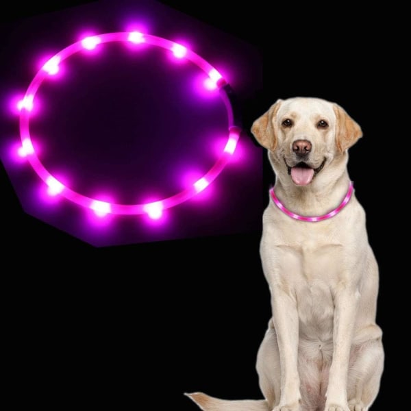 Light Up Hundehalsbånd, USB genopladeligt Hundehalsbånd, LED Justerbar
