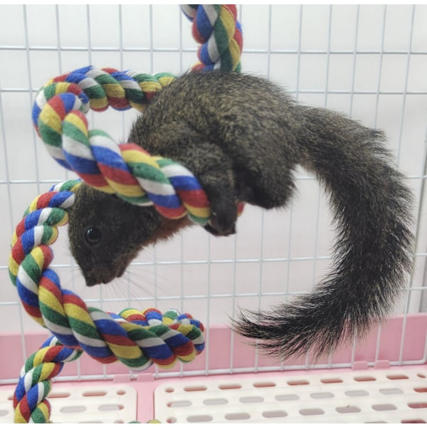 Repleksleksak för papegojor, spiralformad fågelburleksak, fågel
