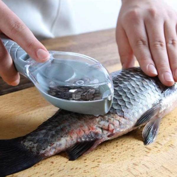 Fiskfjällsskrapa Skalrengöring Fiskfjällsskrapa Fiskfjäll