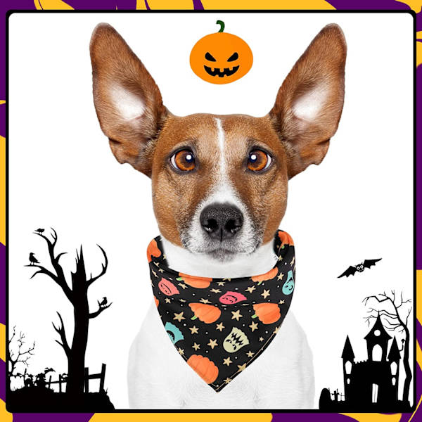 5 stykker kæledyr slobber håndklæde hund tørklæde kæledyr forsyninger Hallowe