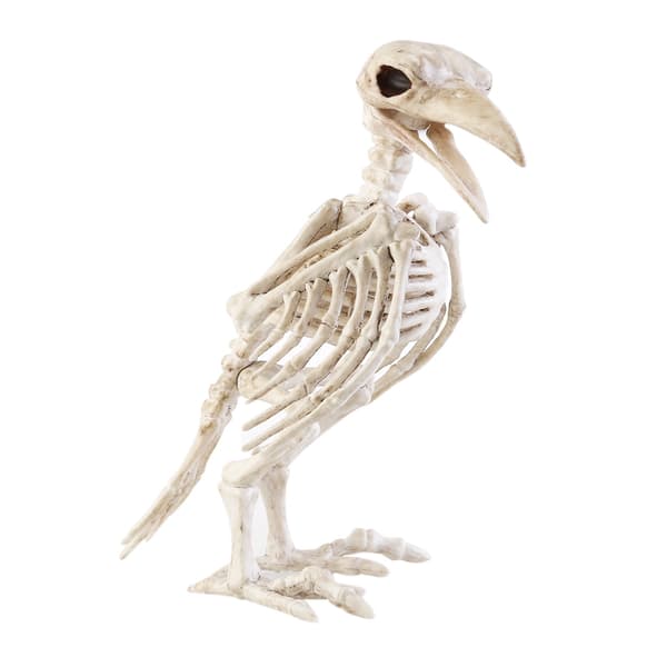 Crazy Bone Skeleton Raven 100% Plast Dyrebein Hor