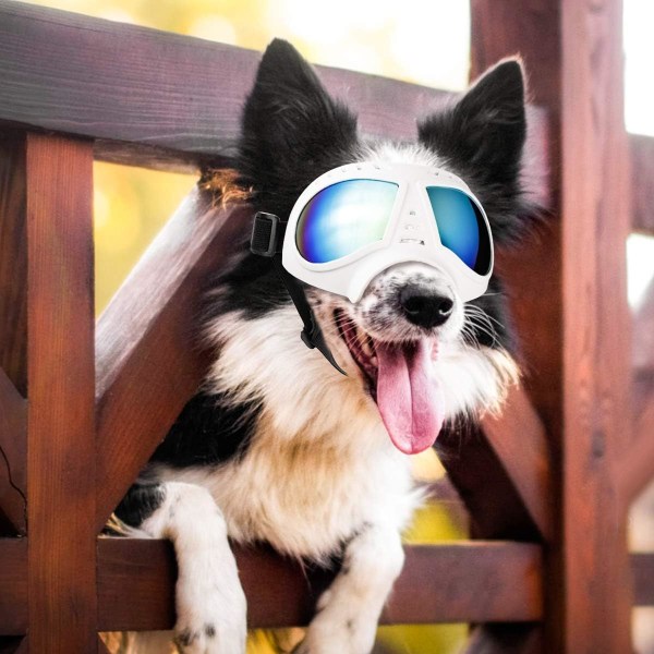 Hundesolbriller Øjenbeskyttelse Hundebriller Beskyttelsesbriller til store hunde