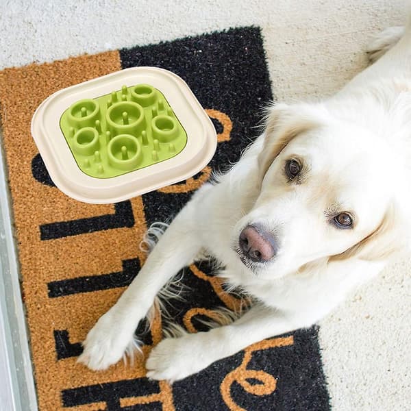 Skål til kæledyr Skål til kæledyrsfoder Kreativ langsom madskål til hunde