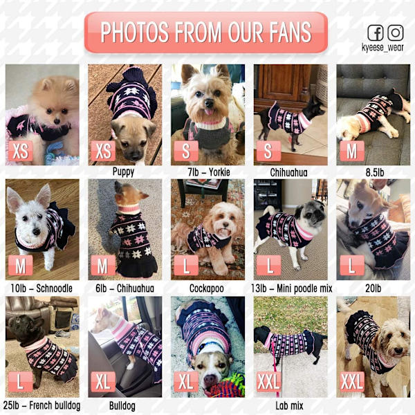 Hundetrøjer, S, Lille Turtleneck Hundetrøje Kjole Strik Varmt Kat