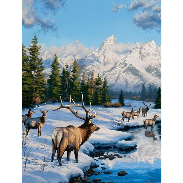 Vinter Diamond Painting Kit för vuxna, Deer 5D Diamond Painting