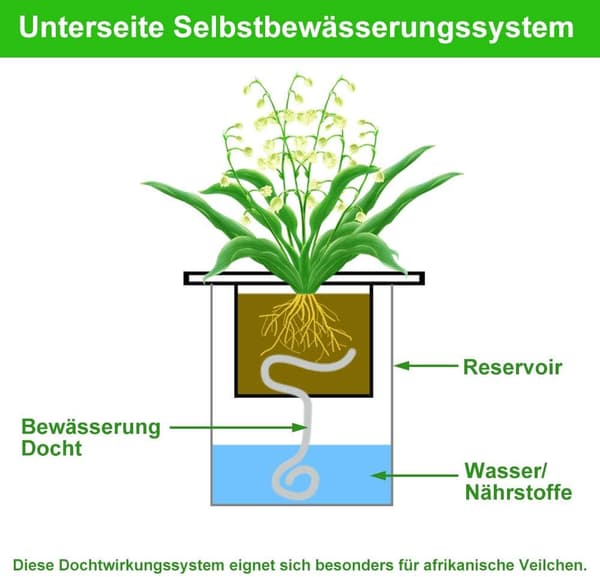 1 stk. Automatisk plantevandingssystem, 20M absorberende kernetov