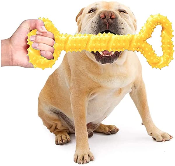 2 stk. Gule Hundetyg i Gummi i Form af Knogle