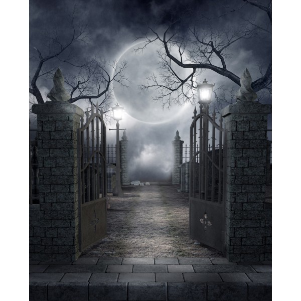 Halloween-ilta täysikuu Tausta Gloomy Woods Graveyard Photog