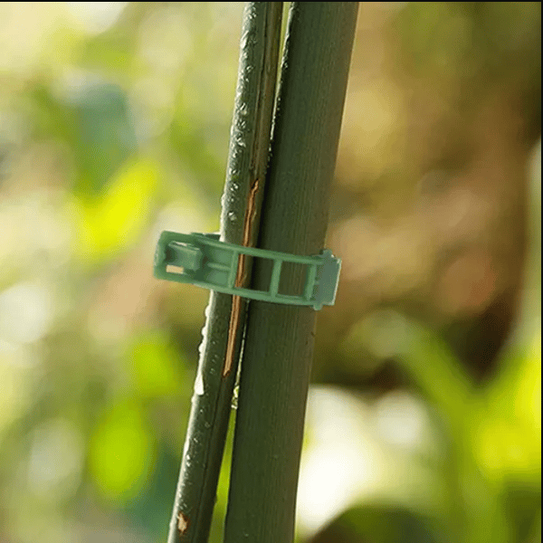 (Grøn) 100 stk. plantesupport til plantesupport, plastik vin
