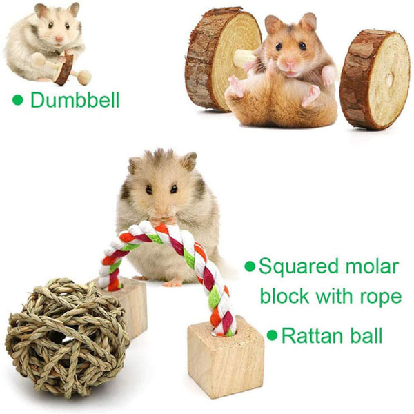 Hamster Tuggleksaker 10 Pack Naturligt Trä Tugga Smådjur Exer