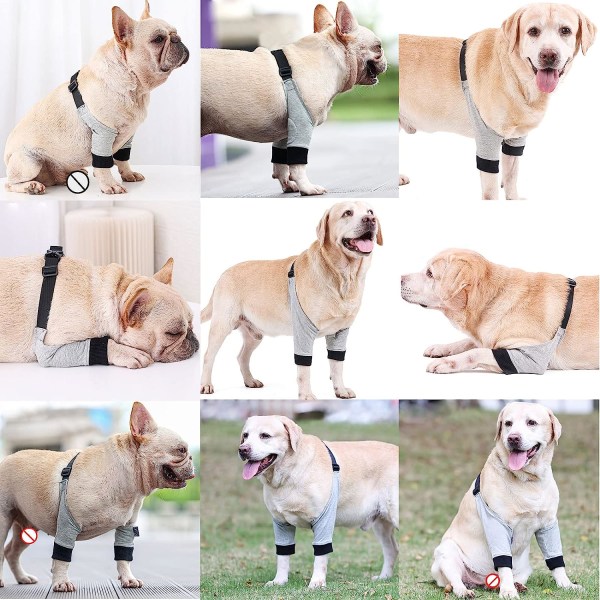 Dog Leg Joint Sleeve Valp Hund Front Paw Pet Leg Protector Soft P e2db |  Fyndiq