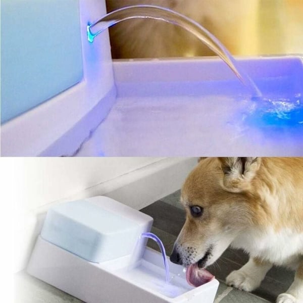 Ersättningsskumfilter för vattenautomater för hund och katt (12 st