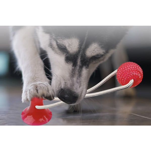 Punainen lemmikkilelu, itse leikkivä kumipallolelu imukupilla Dog C