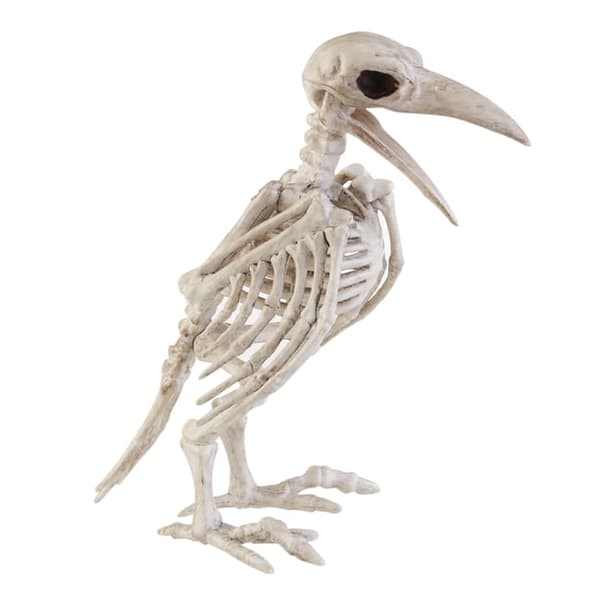 Crazy Bone Skelett Raven 100% Plast Djurben