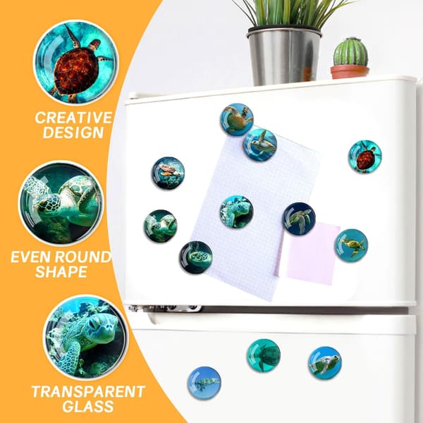 12-pack Glaskylmagneter - 35 mm (Sjösköldpadda Kylskåpsmagnet)