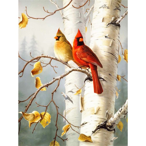 30x40cm 5D DIY Diamond Painting Full,Série Oiseaux#H,DIY Diamond