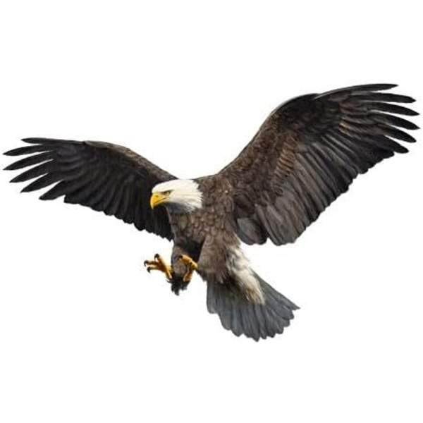 (A)2PCS Eagle Car Stickers, Vattentäta Bilskylt Klistermärke Bil Flygande Örn Vinyl DIY Dekal U