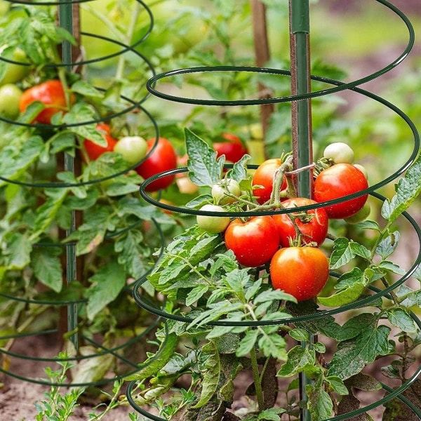 Spiralformad växtstöd, infällbar växtstödspåle | Infällbar tomatbur för rosa orkidélilja dahlia trädgårdsstödspåle för klätterväxter