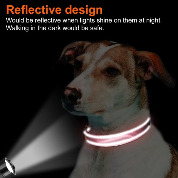 Nylon hundehalsbånd med reflekterende strimmel, klassisk polstret halsbånd til