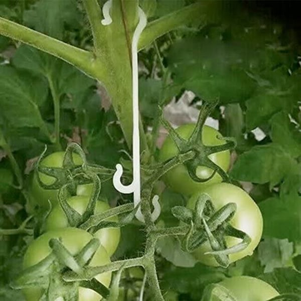 100 st 13CM trädgårdsväxtfixeringsklämmor, klätterväxtstöd