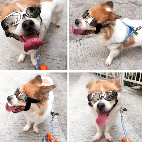 Hundglasögon Solglasögon för liten medelstor hund eller katt Vattentät Li