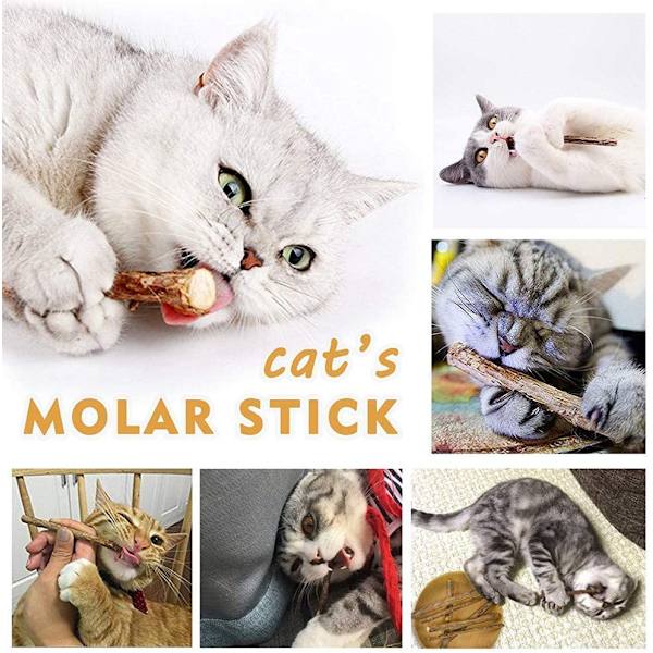 30 Kattenip Sticks Leksak Katt Kattunge Catmint Tugga Mint Katt Tänder Clea