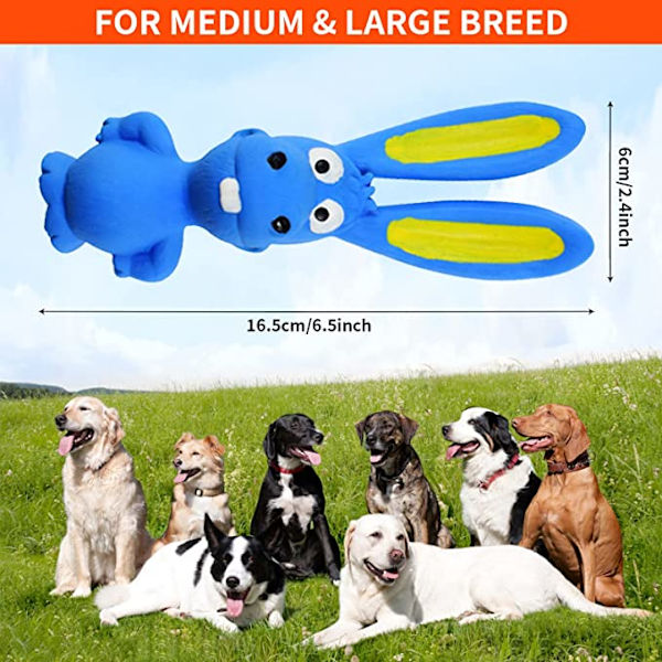 Squeaky legetøj til hunde, Squeaky legetøj til hunde, Latex Interactiv