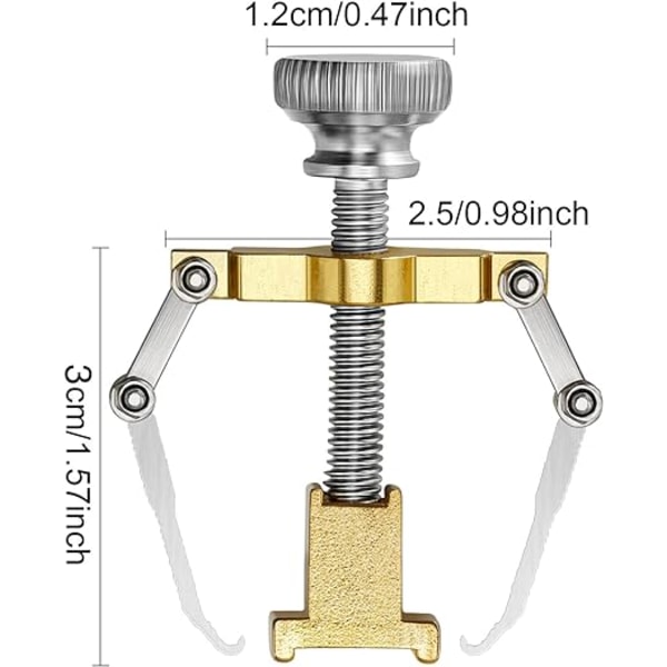 2 st Ingrown Toenail Lifter Ingrown Toenail Verktyg Rostfritt Ståltåklämma Paronychia Fotvårdsverktyg (Guld)