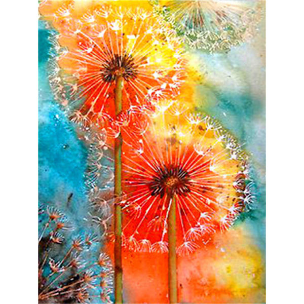 30x40cm 5D DIY Diamantmaleri Fuld,Serie Mælkebøtte#D,DIY Diamant