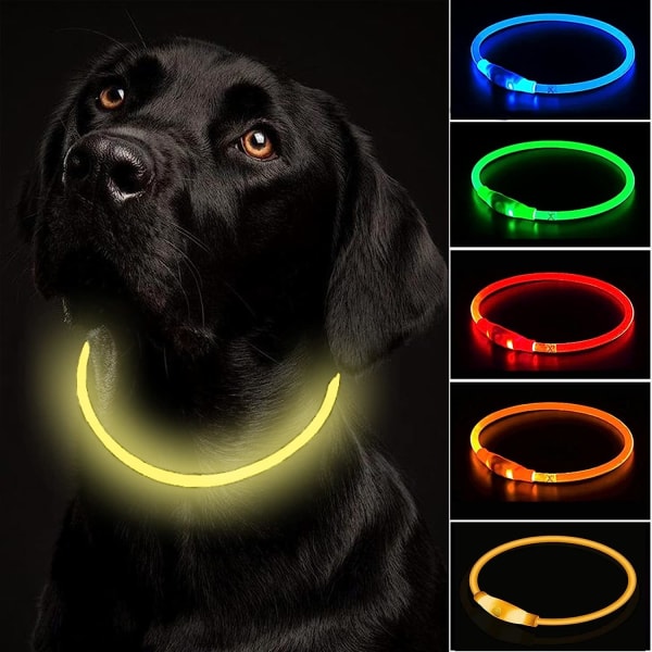 Lys opp hundehalsbånd USB oppladbart blinkende halsbånd Justerbart L 0106 |  Fyndiq