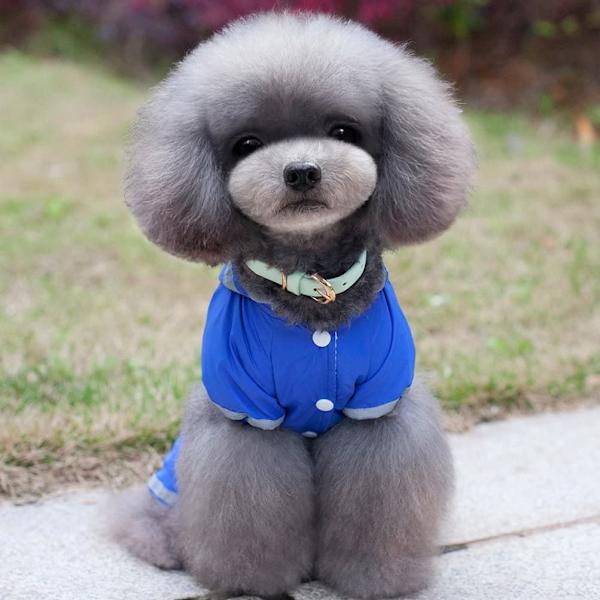 Liten hund regnrock huva vattentät mesh fodrad valp slicker Ra