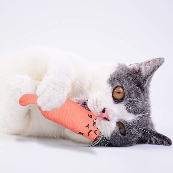 5 st kattmyntaleksaker för katter interaktiva katt tugga kattunge bit