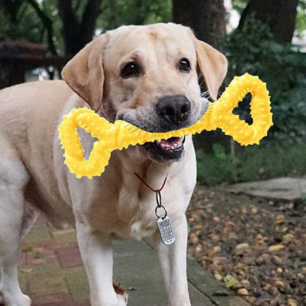 2 stk. Gule Hundetyg i Gummi i Form af Knogle