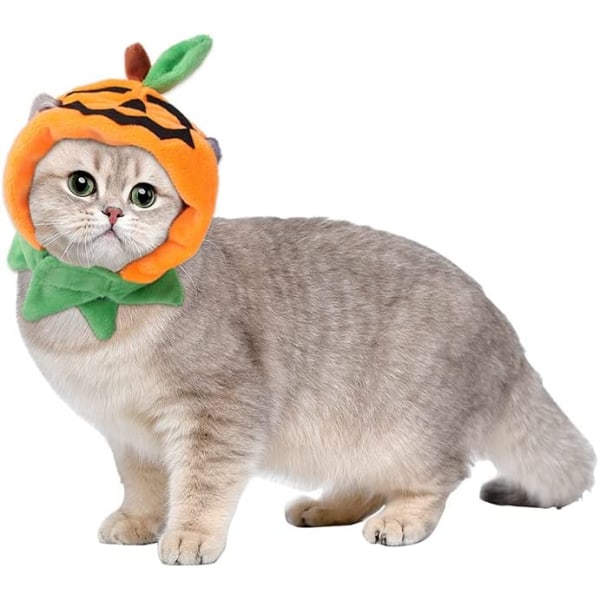 Halloween kattekostyme, kattegresskarlue Cosplay-kostymehatt til s