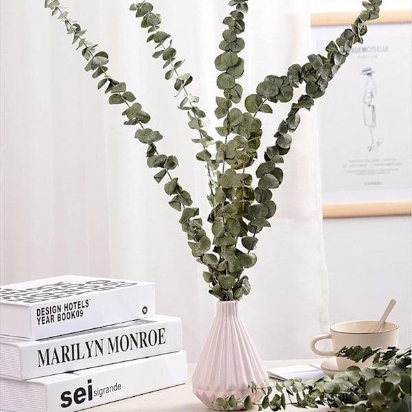 12-14 Pack Naturliga Torkade Eukalyptus, 40-60cm Naturliga Torkade Blommor