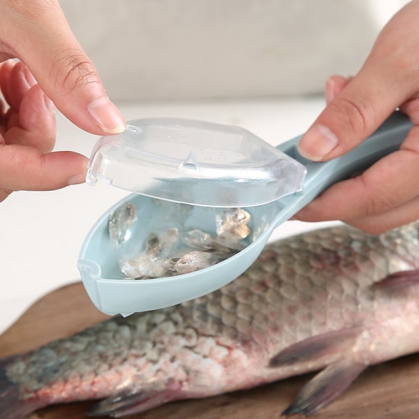 Fiskfjällrivjärn med lock Handbok för verktyg för att döda fisk i köket