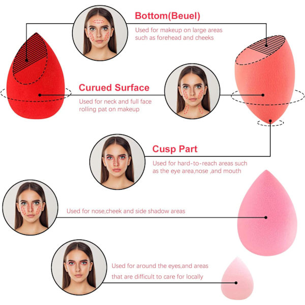 Rouge - 7-delt makeupsvamp til foundation