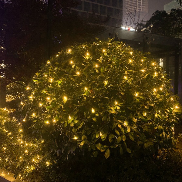 Julelys, 192 LED'er 9,8 fod x 6,6 fod udendørs jul