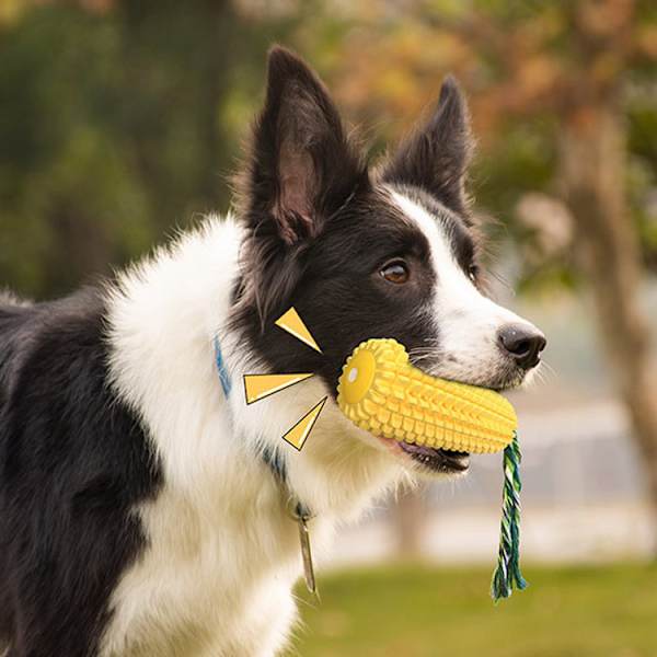 Oförstörbar hund leksak, Naturligt gummi pipande hund leksak, Stick tugga resistent majs tandborste bit, Kul att tugga, jaga och hämta