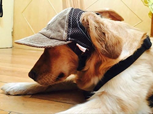 Blå, trendy L-Cap til hunde, Solbeskyttelse om sommeren, Til små