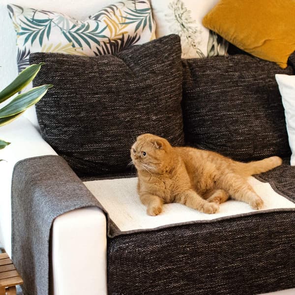 Kattens klorematte - Beskyttelse av sofa, lenestol og møbler