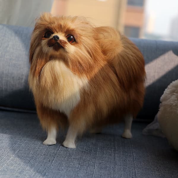 Plysjleker, simulerte hunder, Pomeranian